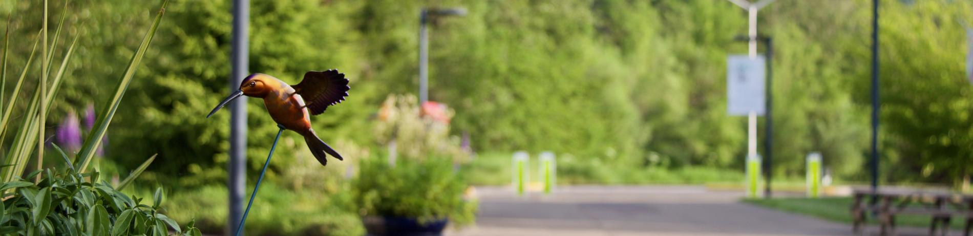 Events | Community | Lane Community College